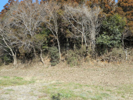 写真：作業１６