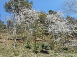 写真：作業９