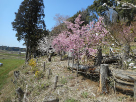 写真：作業１０