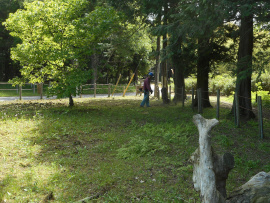 写真：作業５