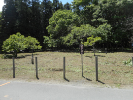 写真：作業８