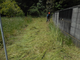 写真：作業９