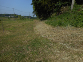 写真：作業１２