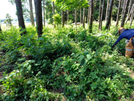 写真：作業５