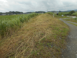 写真：作業６