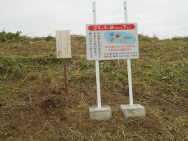 写真：作業７