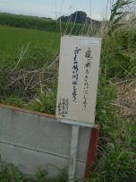 写真：作業８