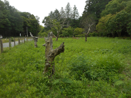 写真：作業３