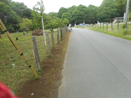 写真：作業８