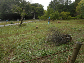 写真：作業９