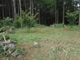 写真：作業９