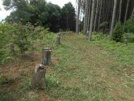 写真：作業１０
