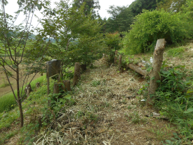 写真：作業１４